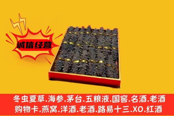 江门市开平回收海参